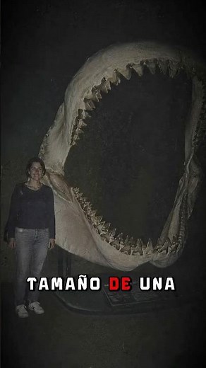 Imágenes perturbadoras que debes ver antes de dormir 😨 #terror #miedo #terrorymisterio