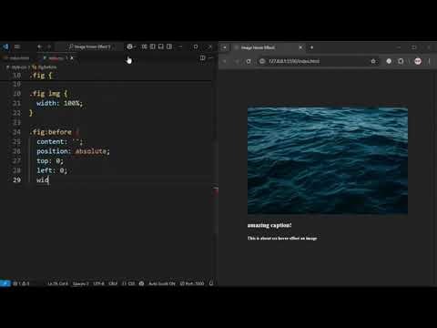 Image Hover Effect | html & css