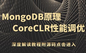 【2021最新录制】CoreCLR性能调优|基准测试|内存分配|针对性讲解教程（.Net Core/C#/.Net开发/微服务/IOC/性能调优/）B0058