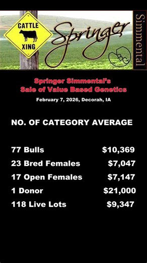 Springer Simmental’s Sale of Value Based Genetics — Feb 7, 2026