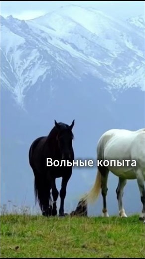 Экоферма Кунцалу | Горы Дагестана 2000–2613 м