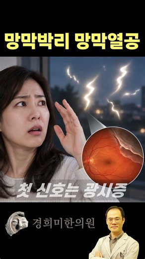 망막박리 증상 광시증 비문증