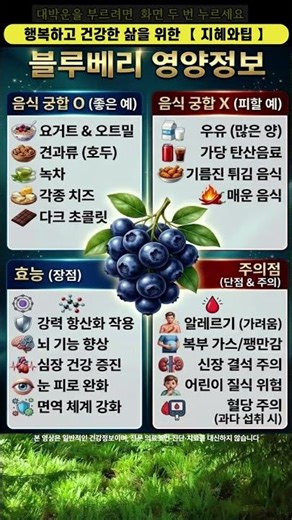 노후 건강 끝판왕! 블루베리 효능과 절대 같이 먹으면 안 되는 음식은? 블루베리 건강정보 #지혜와팁 #노후건강 #건강정보 #영양정보