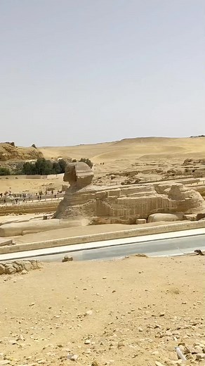 ❤️ | D Formation