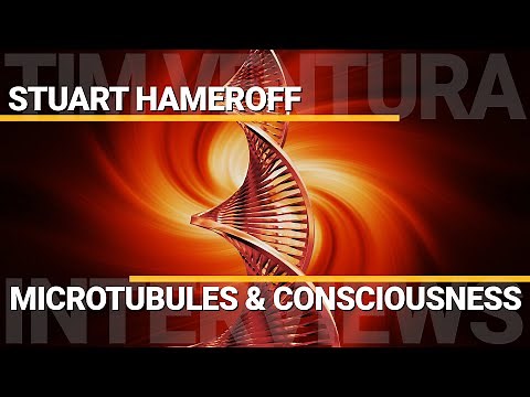 Microtubules & Quantum Consciousness | Stuart Hameroff