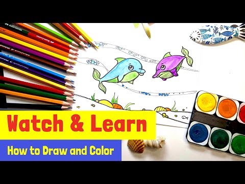 Learn to draw and color dolphins like a pro