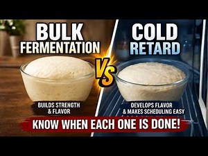 Sourdough Bulk Fermentation vs. Cold Retard — What Each Phase Actually Does