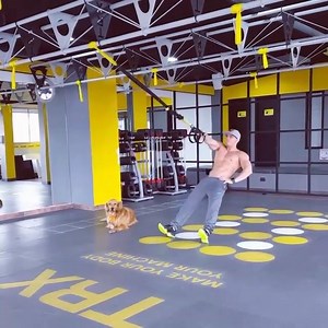 Una de las mejores ventajas que nos proporciona el #TRX es que, con cada ejercicio, desarrollas la fuerza funcional al mismo tiempo que mejoras la flexibilidad, el equilibrio y la estabilidad de la parte central del cuerpo, tal como se exige en cualquier actividad deportiva o en la vida cotidiana. ¿Y tú… ya incluyes el TRX en tus entrenamientos? #SeNota http://www.trxspain.es/ Vídeo vía @fabian.higuita | TRX Spain