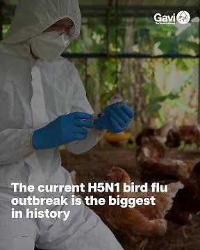 Five things you need to know about the H5N1 bird flu outbreak