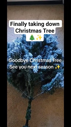 Finally taking down Christmas Tree🎄