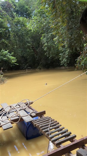 Tokay id (@tokay.v2)’s videos with suara asli - Tokay id