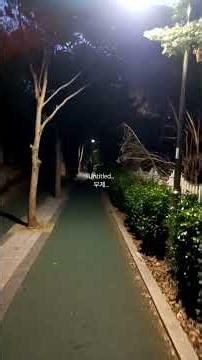 260513 SEOUL KOREA : Untitled... #무제 #shorts