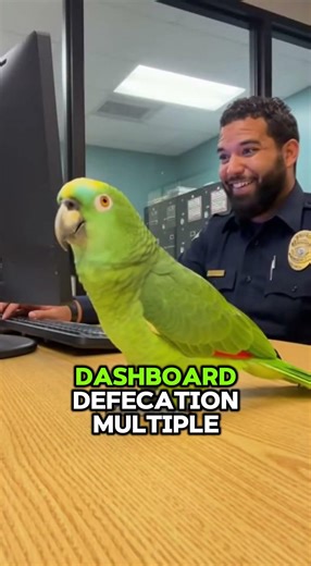 Parrot Roasts Cop After Getting Caught 😂🚔 #ParrotFails #FunnyShorts #Police