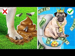 GUIDE POUR LES AMOUREUX DES ANIMAUX | Astuces & gadgets pour les maîtres d'animaux par 123 GO! FOOD