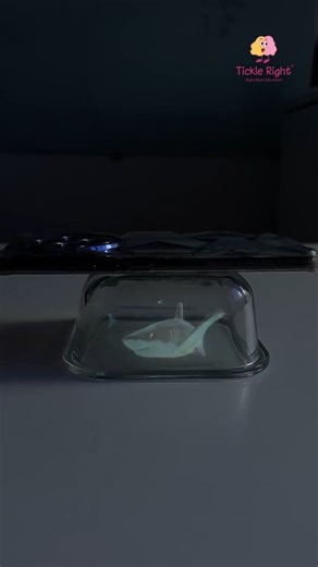 Tickle Right | Right Brain | Curious how this works? Here’s what you need: Materials: • Transparent container (glass or clear plastic) • OHP sheet • Scissors •... | Instagram