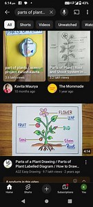 Draw a labelled diagram of a plant showing its different parts.... | Filo