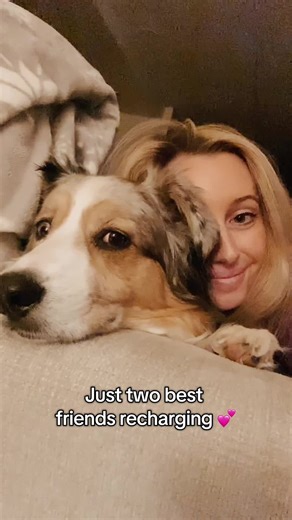 Cuddle therapy in session 🩷 #australiansheperd #cutedog | dog