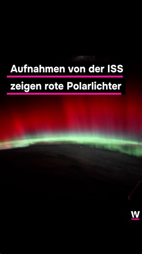 Aufnahmen von der ISS zeigen seltene rote Polarlichter 😍 Aufnahmen eines Astronauten auf der ISS zeigen, wie spektakulär es von dort aussieht, wenn Polarlichter um die Erde tanzen. In den Videos von Astronaut Don Pettit sind rote Polarlichter zu sehen, was besonders selten ist. #watson #watsonnews #iss #polarlichter | watson