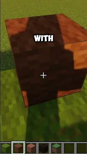 How to Make a Cute Turtle #minecraft