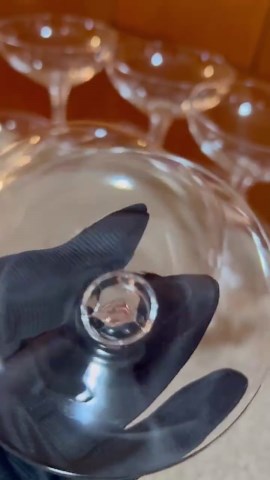 Fostoria Debutante Clear Champagne Coupes Set of 8 (1960s Vintage) - Etsy