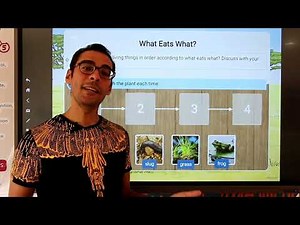 Concept 2 Ecosystem primary 5 science lessons 1,2,3,4,5and 6 mr seif