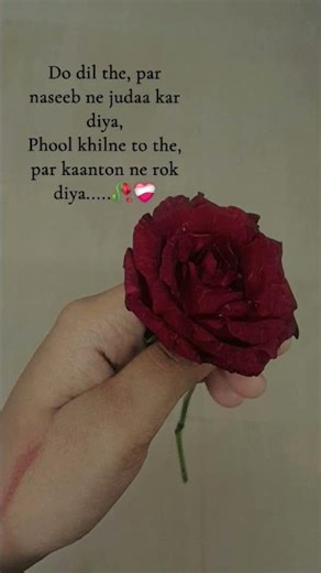 Ajeeb phool the khile hi nhi...🥀🤧🫠 #brokenheart #love