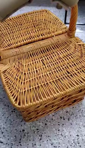 4.7K views · 245 reactions | Pop goes the kitty! #socksfwb #herekittykitty #kittyinabasket #wedothingsdifferently #thatcatshelter #donate #volunteer #sponsor | Save Our Cats and Kittens - SOCKS Shelter | Facebook