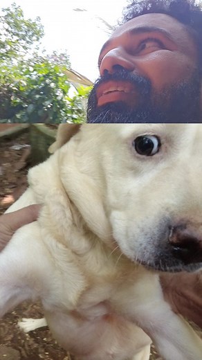 The trend gone wrong as usual 🙂‍↕️🤐🤣🐈🐶😼🐥 Dance with your pet | Linu Shajan