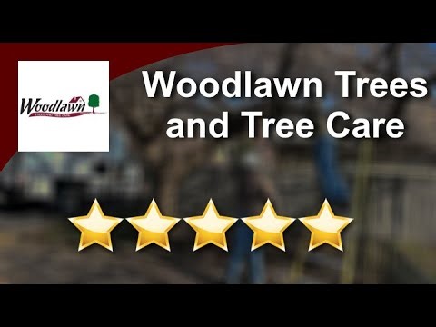 Woodlawn Trees and Tree Care Reviews - 5 Stars for Tree Service in Newville