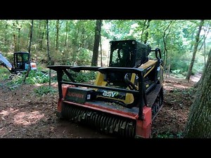 Forestry Mulching the Neighbor's Overgrown Backyard Creek