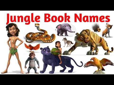 जंगल बुक के सभी कैरेक्टर्स The Jungle Book Names Jungle Book Characters Names in English and Hindi |