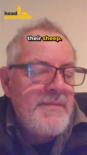 Ever wondered about farming New Zealand sheep in the UK, or considered farming UK shedding genetics in NZ? In this week's episode of Head Shepherd, Ferg speaks with Ian McDougall, a veterinarian whose career, and sheep, have taken him around the world. Ian shares the lessons he's learnt about farming foreign genetics in different environments and he and Mark also discuss the rise in popularity of shedding sheep across the globe and much more. Low Footprint Lamb UK Listen today on our website, or