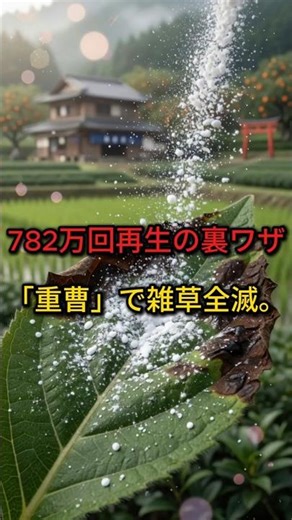 【782万再生】除草剤はもう買わない！重曹を雑草にまいた2週間後の結果が凄すぎた…#重曹 #除草 #雑草対策 #家庭菜園 #農業#裏ワザ #ライフハック #節約術 #100均 #日本のリアル