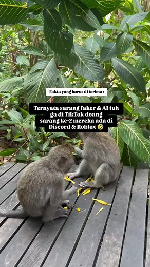 Fun fact 🫸 Sc video : pin #POLISIAIFAKERONTOP #fyp