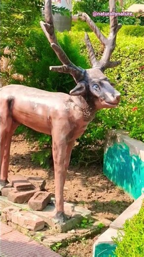 deer turned into statue #naturallynature