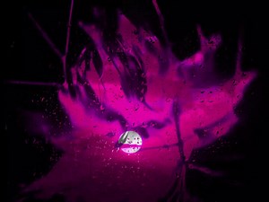 Ayo Technology: Lyrics and Vibes