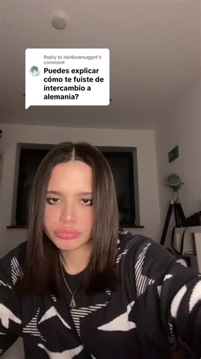 Exploring Exchange Student Experiences in Germany