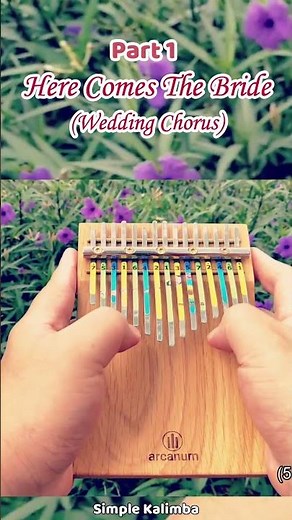 Here Comes The Bride (Wedding Chorus) - Part 1
