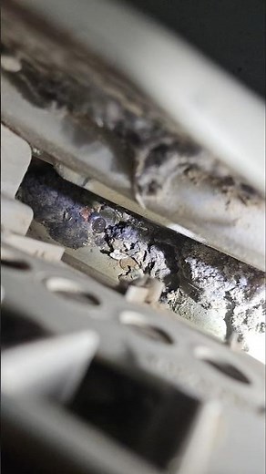 Cleaning lint trap, from maytag dryer