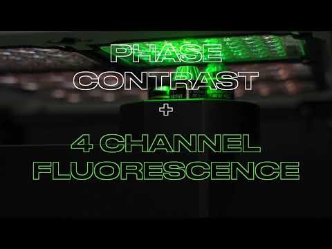 Cellcyte 3 - Live Cell Imager with Analysis