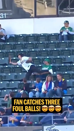1.5M views · 33K reactions | Having your own highlight reel from the bleachers is WILD ( @mlb) | CBS Sports HQ | Facebook