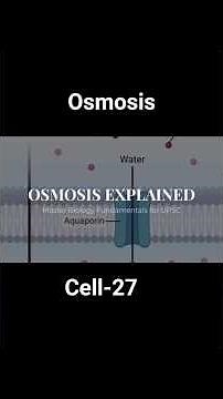 Osmosis in Detail | Cell – The Basic Unit of Life #biology #competitiveexams #ncert #cell