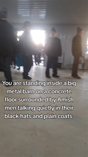 #amishlife #amishcommunity #simpleliving #amishtaxi #amishbooks | amish life