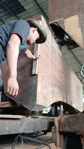 Giant Tree Log Cutting Machine #shorts #woodcutting #oddlysatisfying #woodworking