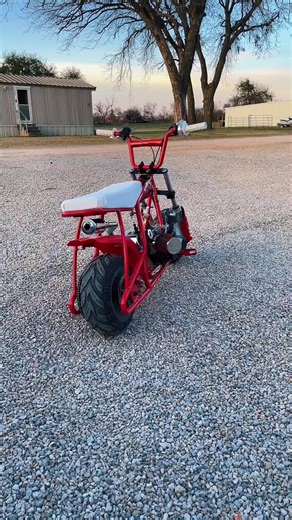 Vibes Only on the Red Rat Mini Bike