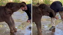 This video of a baby elephant in a playful mode playing a game with this man it is just the perfect start to your day! Super adorable! | Rumble