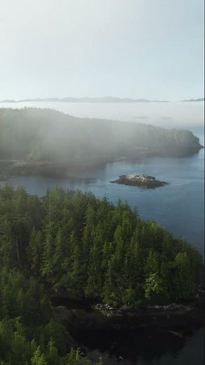 A remote pocket of wilderness where the forest meets open ocean.. That’s God’s Pocket.
