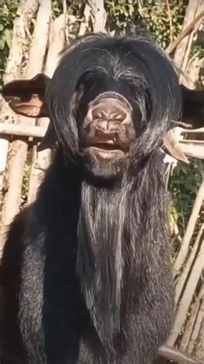 #music #dancehallmusic #dancehall #youtube #facebook #newsong #hindisong #dance #newmusic