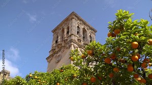 Beautiful clock tower behind orange trees, classical European architecture