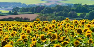 25 country events and festivals for summer 2024